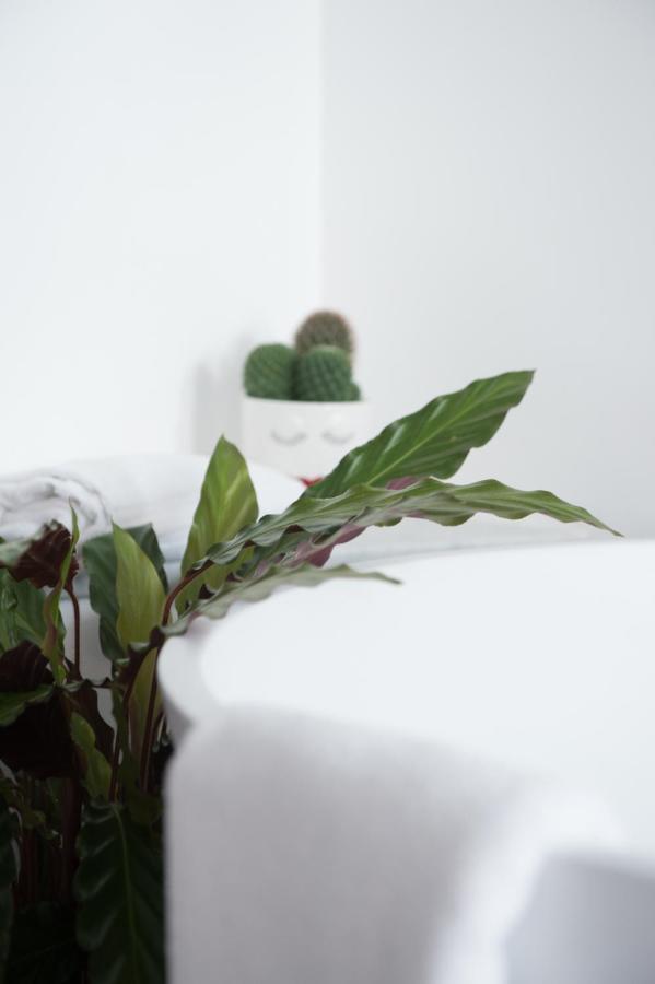Le Terrazze Del Duca San Pietro Guesthouse 罗马 外观 照片